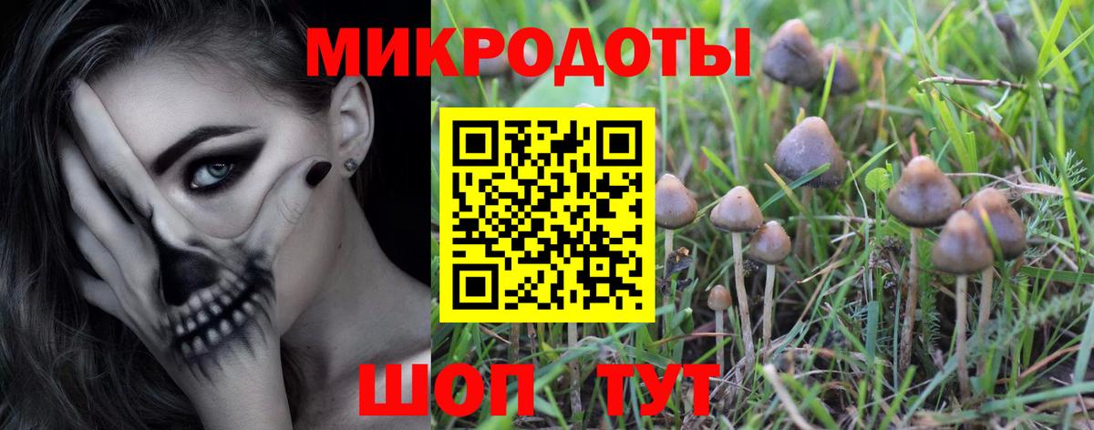 Семёнов  Псилоцибиновые грибы прущие грибы  Вход с VPN  Псилоцибиновые грибы Psilocybine cubensis 